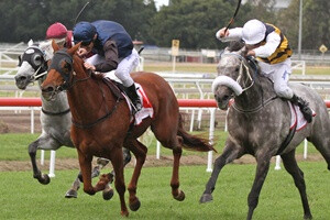 Quintessential Eagle Farm Cup